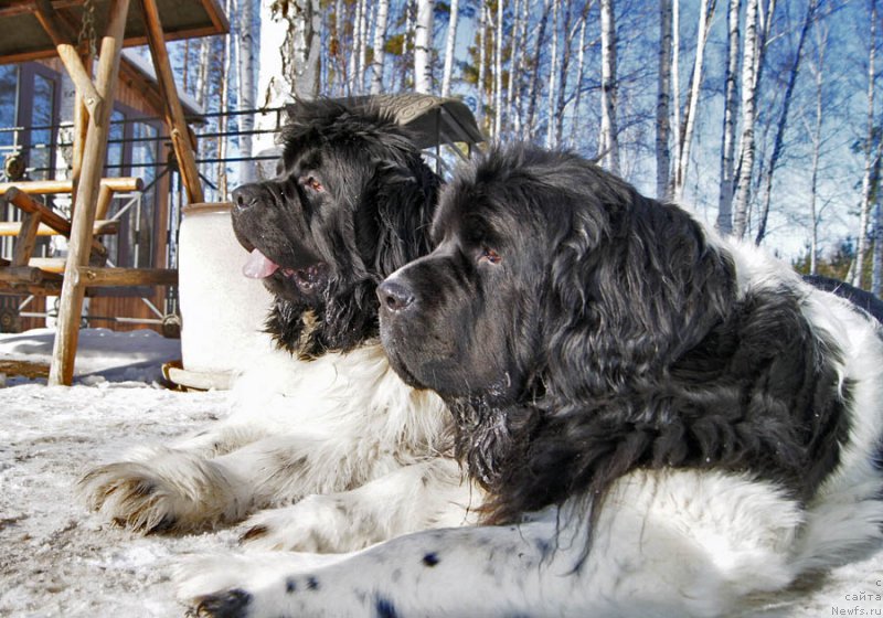 Фотография № 175834