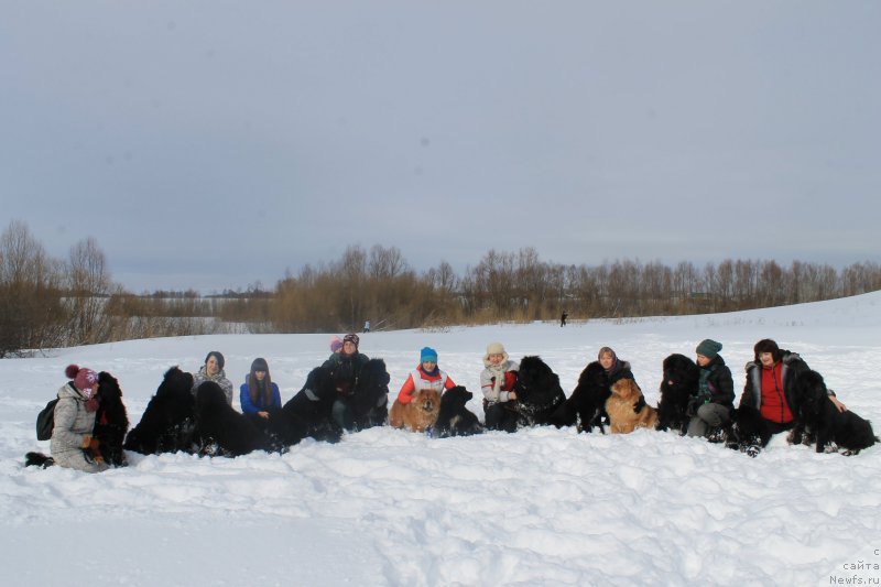 Фотография № 175874