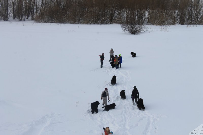 Фотография № 175875