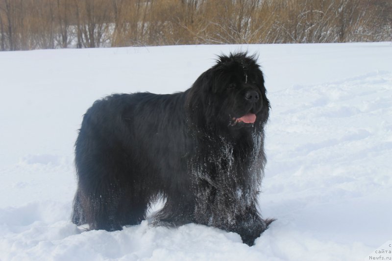 Фотография № 175876