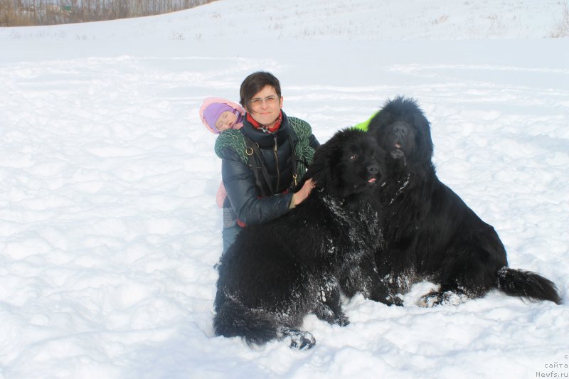 Фотография № 175882