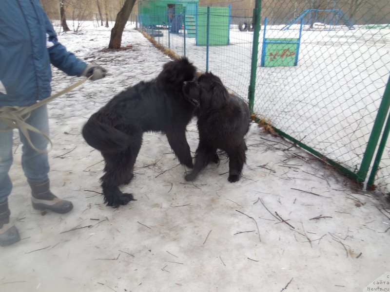 Фотография № 175893