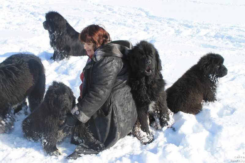 Фотография № 175894