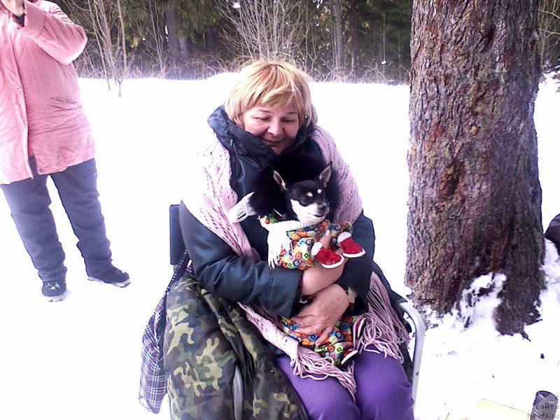 Фотография № 175904