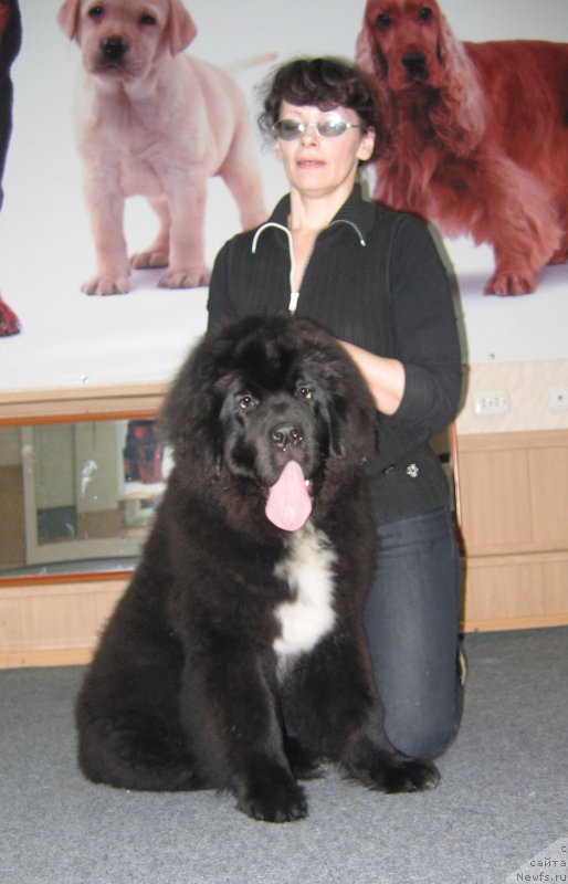 Фотография № 175908