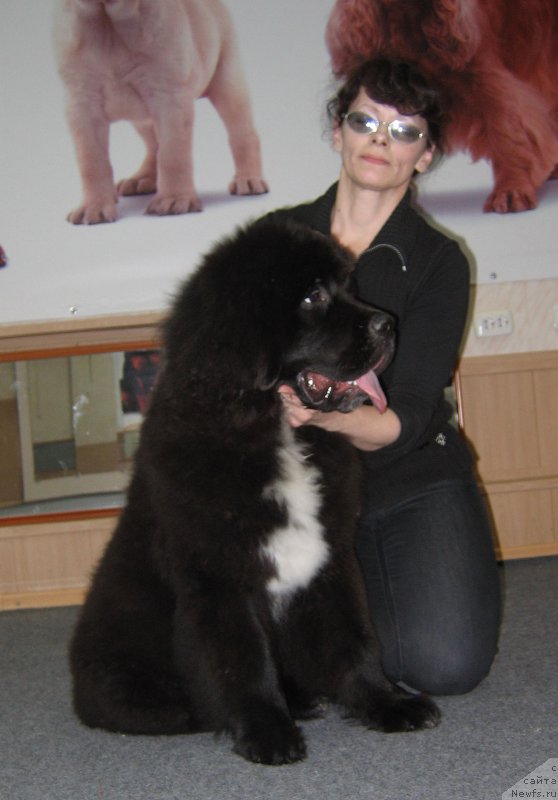 Фотография № 175909