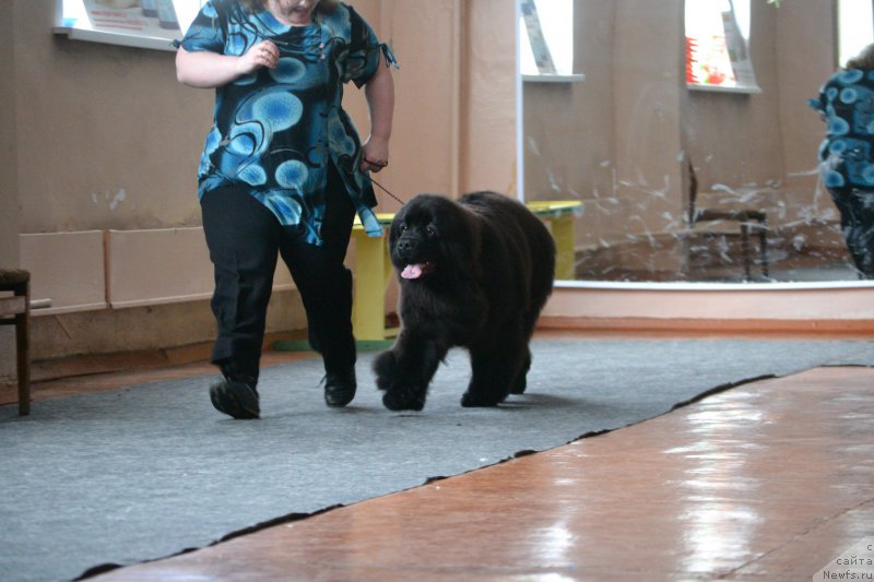 Фотография № 175924