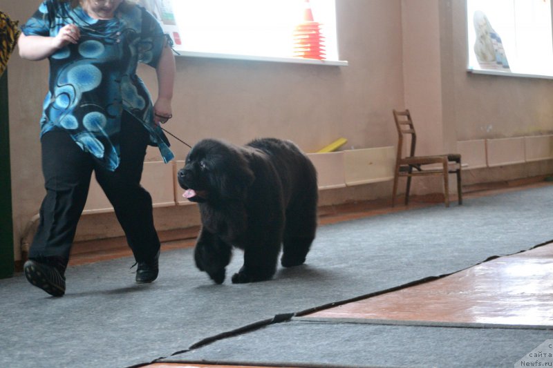 Фотография № 175925