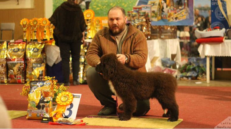 Фотография № 175927