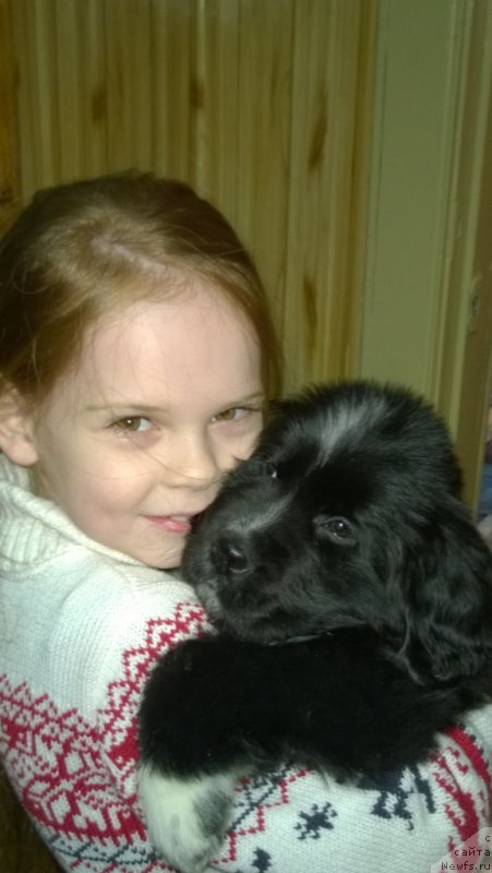 Фотография № 175928