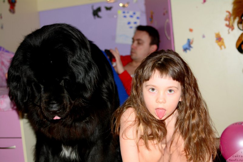 Фотография № 175952