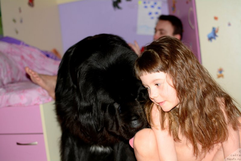 Фотография № 175953