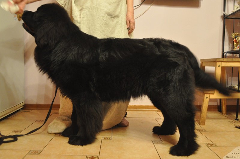 Фотография № 175959