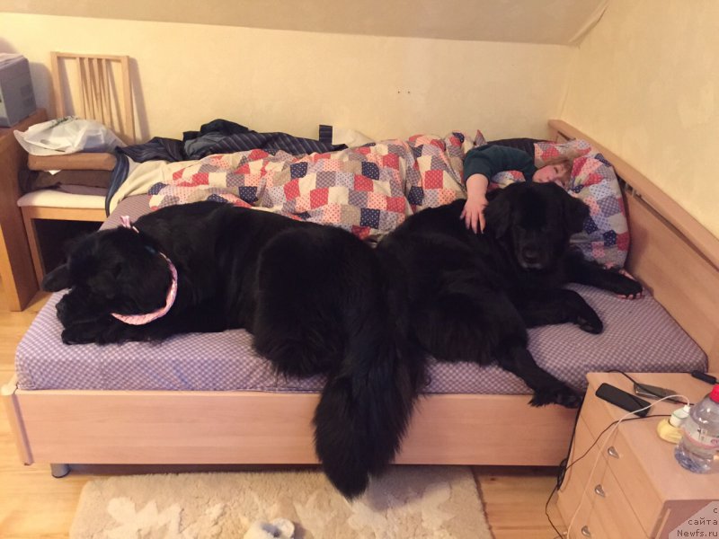 Фотография № 175968