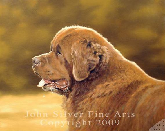 Фотография № 175992