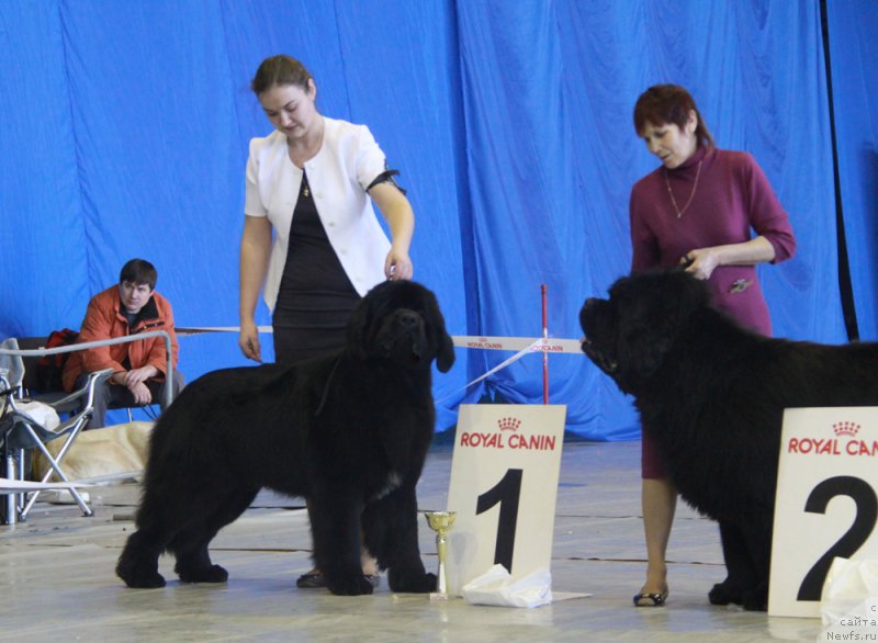 Фотография № 175994