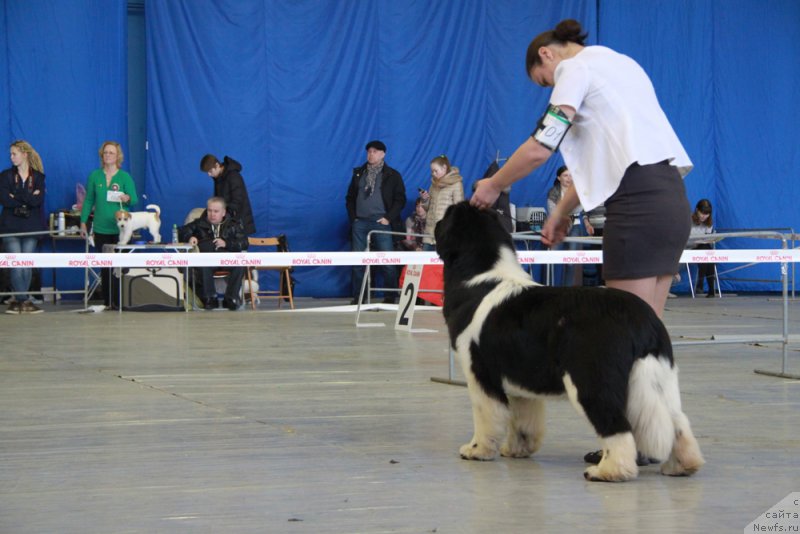 Фотография № 175995