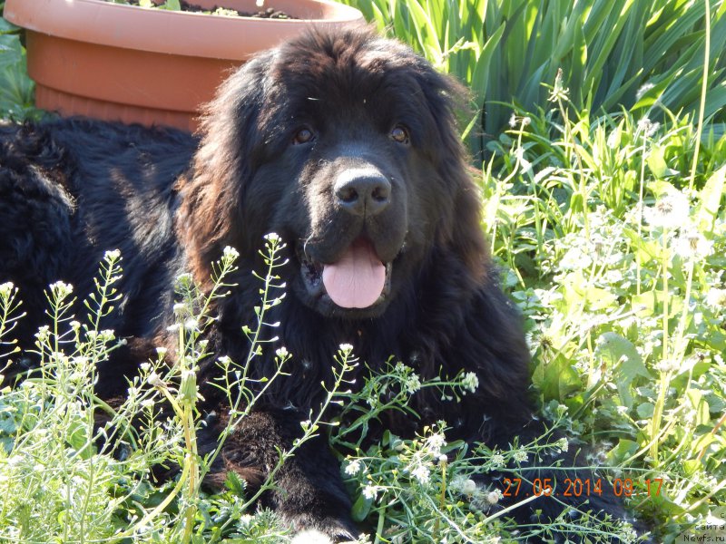 Фото: Svetlana Pankova (Светлана Панкова)