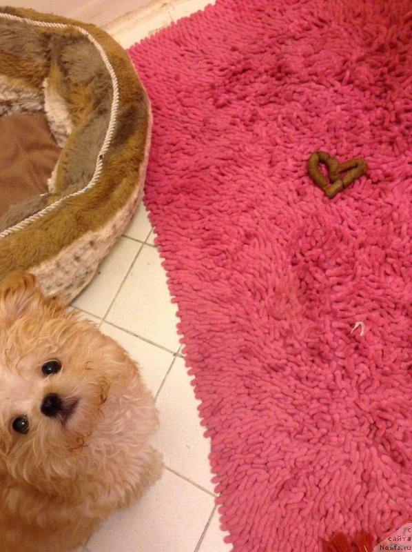 Фото: Sergey Jukov (Сергей Жуков)