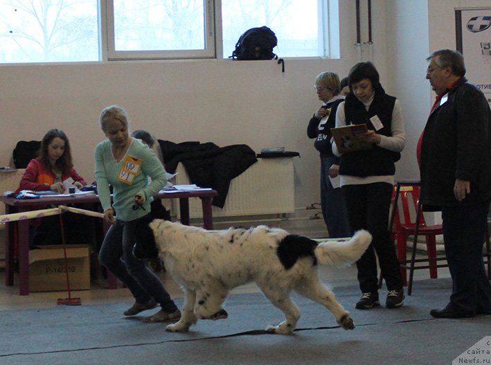 Фотография № 176012