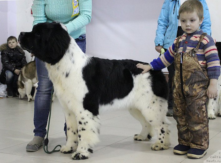 Фотография № 176013