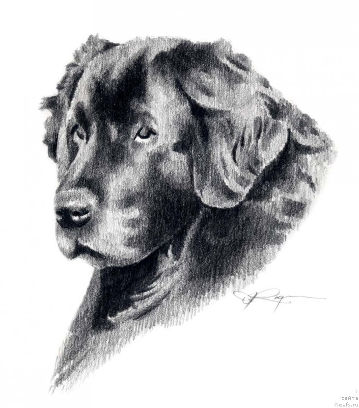 Фотография № 176016