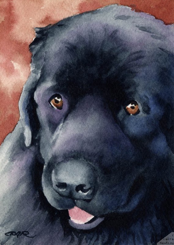 Фотография № 176022