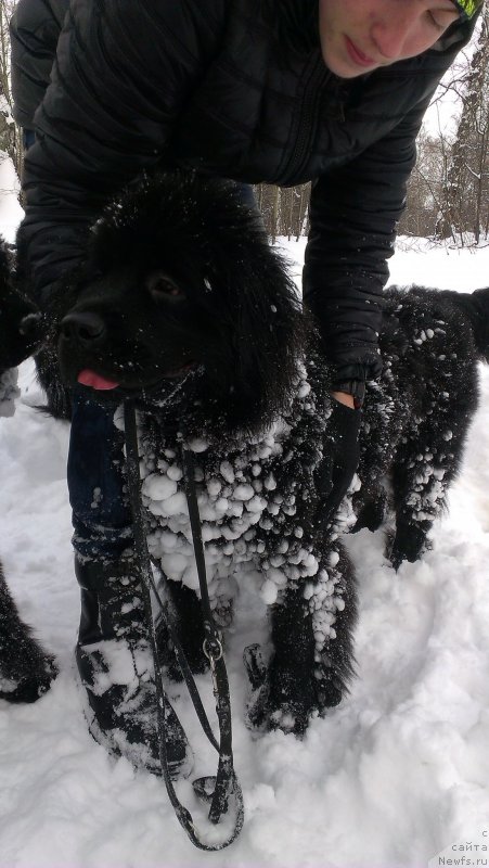 Фотография № 176039