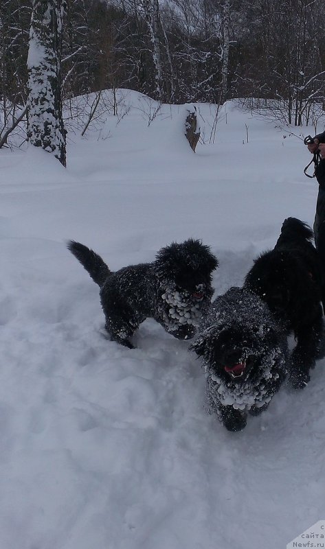 Фотография № 176047