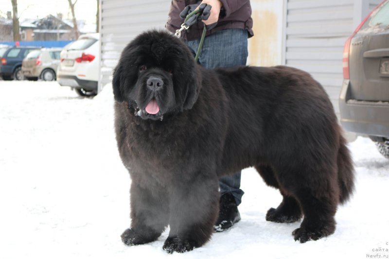 Фотография № 176050