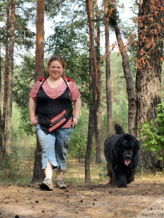 Фото: ньюфаундленд Hanesa (Ханеса), Nataliya SHevchuk (Наталия Шевчук)