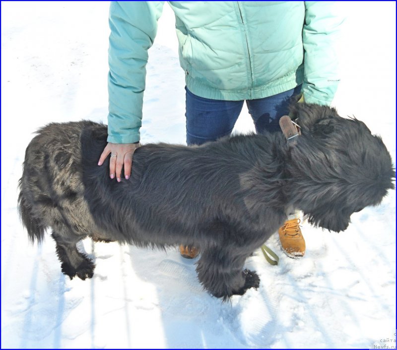 Фотография № 176098