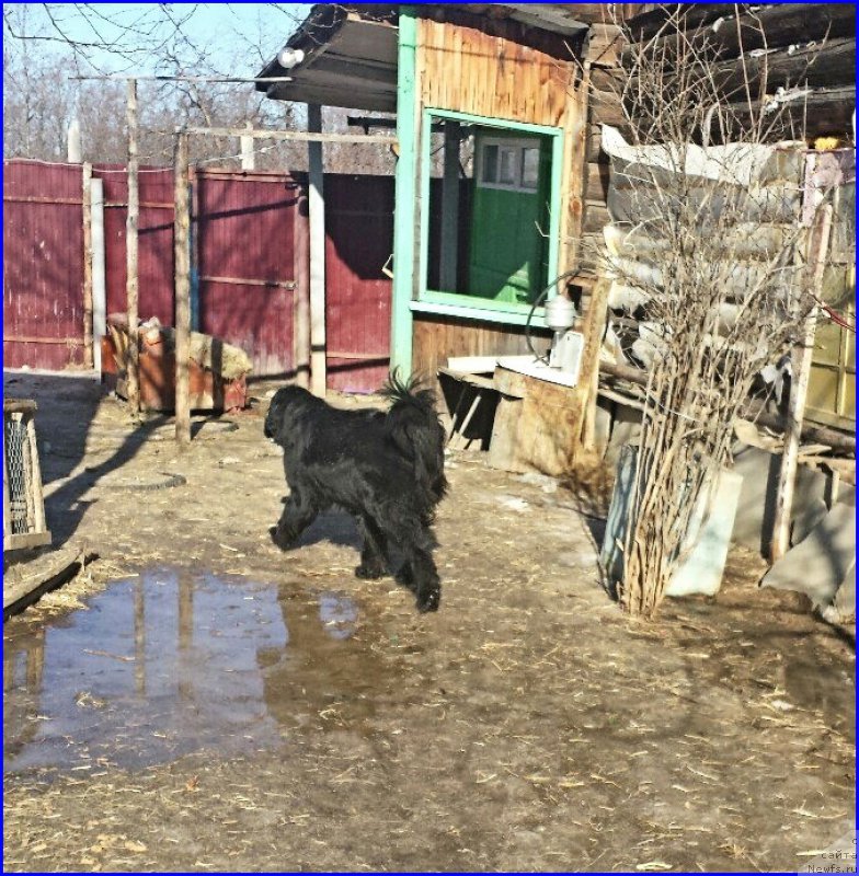 Фотография № 176102