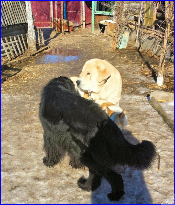 Фотография № 176103