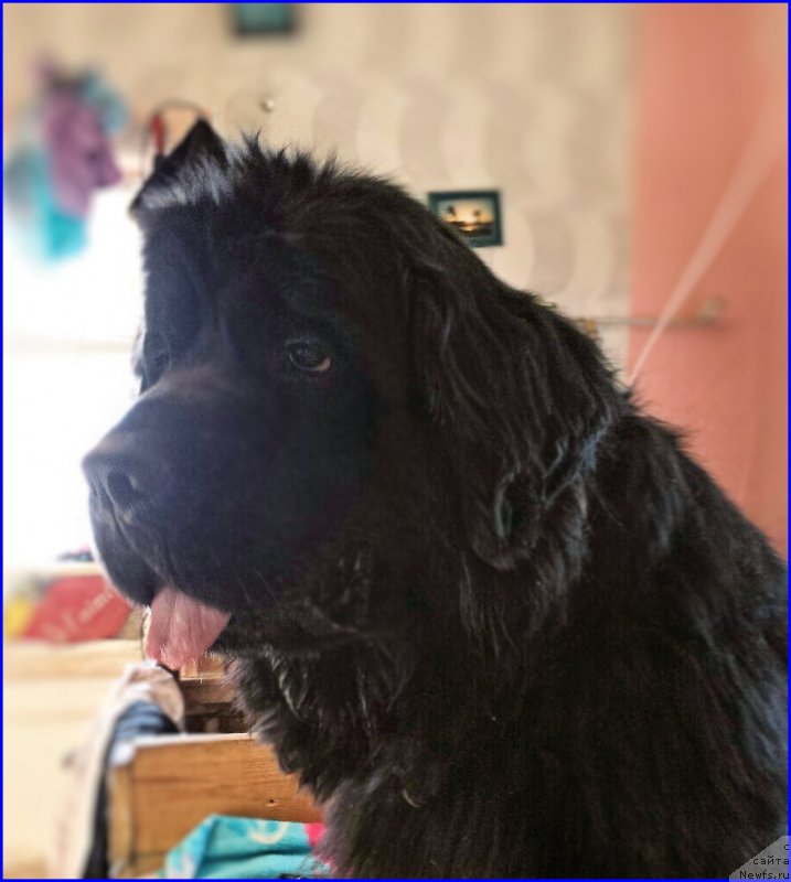 Фотография № 176107