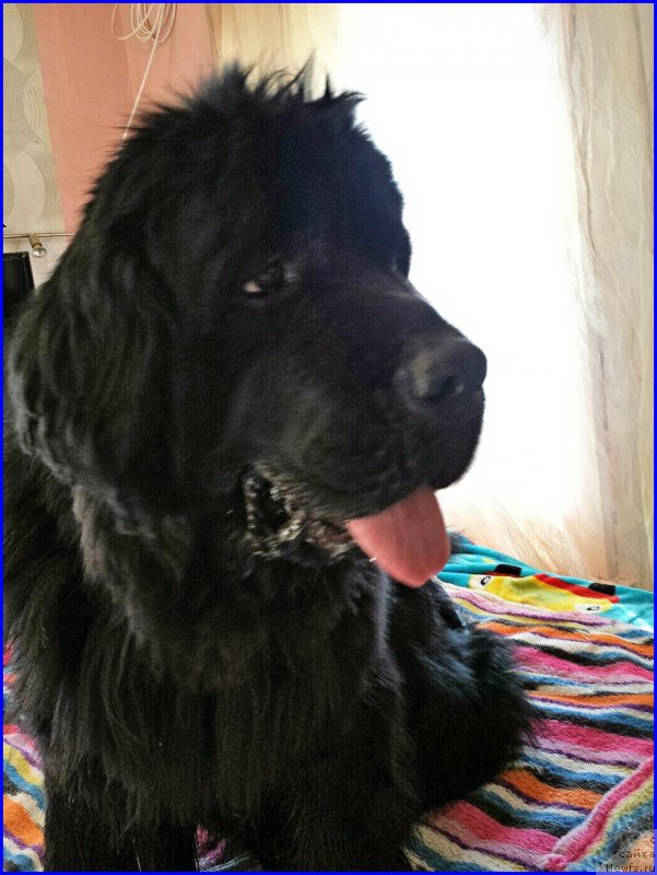 Фотография № 176108