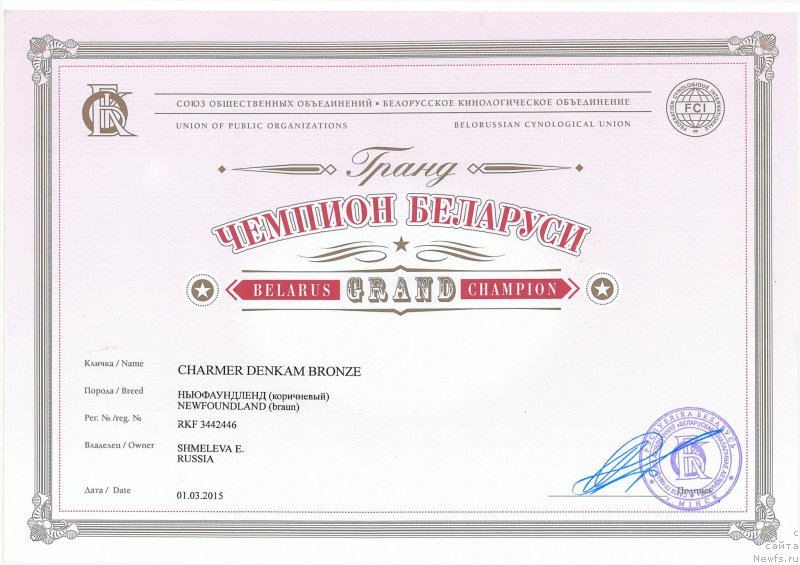 Фото: ньюфаундленд Charmer Denkam Bronze (Чармер Денкам Бронз)