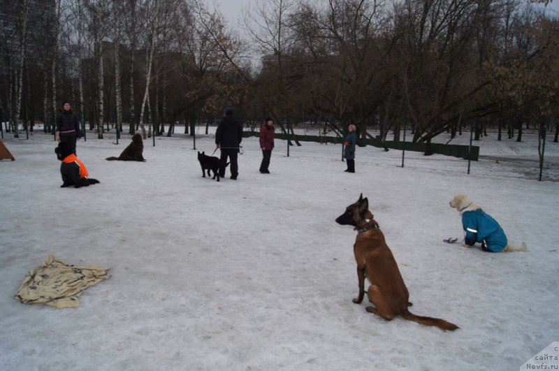 Фотография № 176112