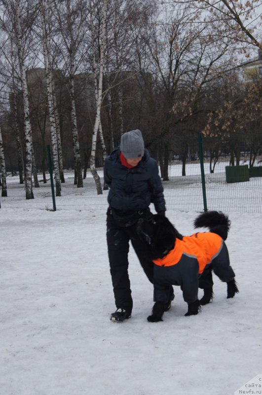 Фотография № 176114