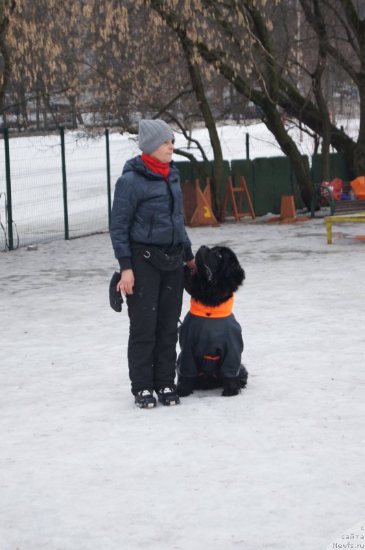 Фотография № 176145