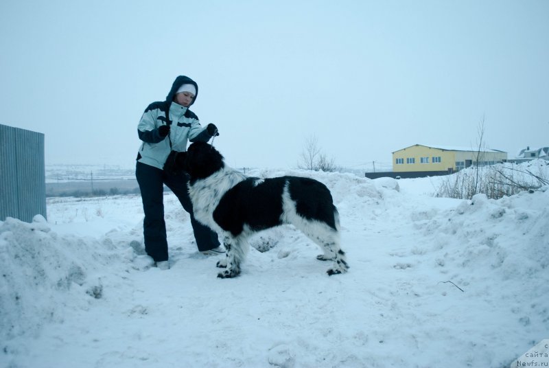 Фотография № 176198