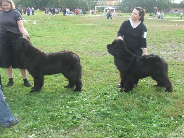 Фотография № 17623