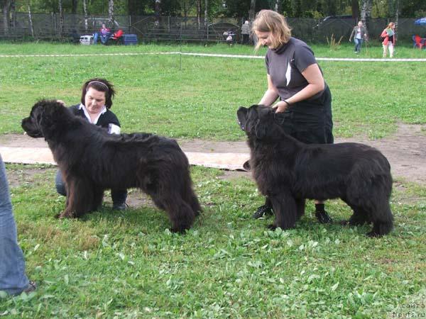 Фотография № 17624