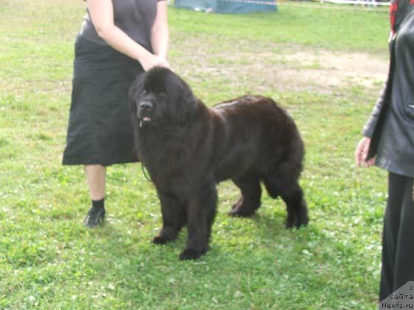 Фотография № 17625