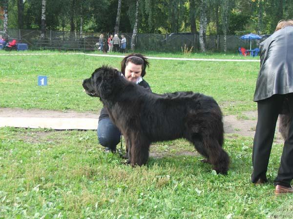 Фотография № 17626