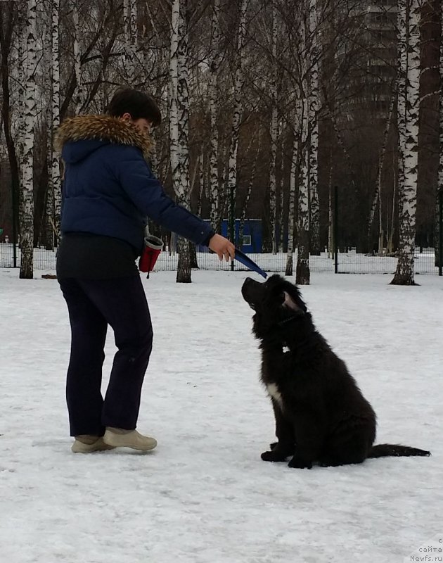 Фотография № 176298