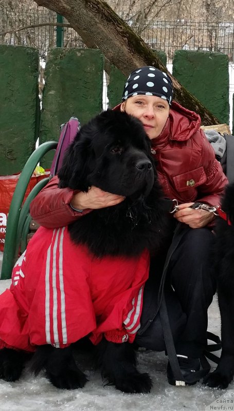 Фотография № 176318