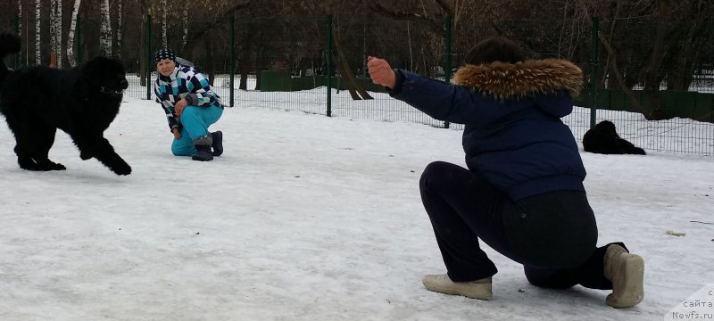 Фото: Ol'ga Muzyichuk (Ольга Музычук)