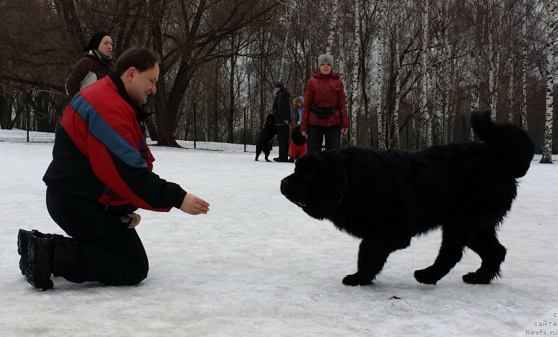 Фото: Ol'ga Muzyichuk (Ольга Музычук)