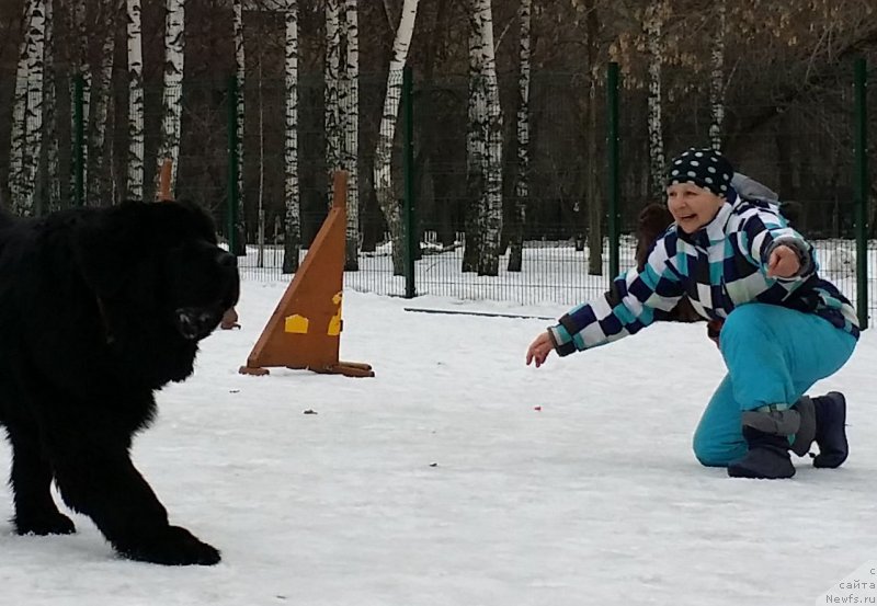 Фото: Natal'ya Smazchikova (Наталья Смазчикова), БЭК